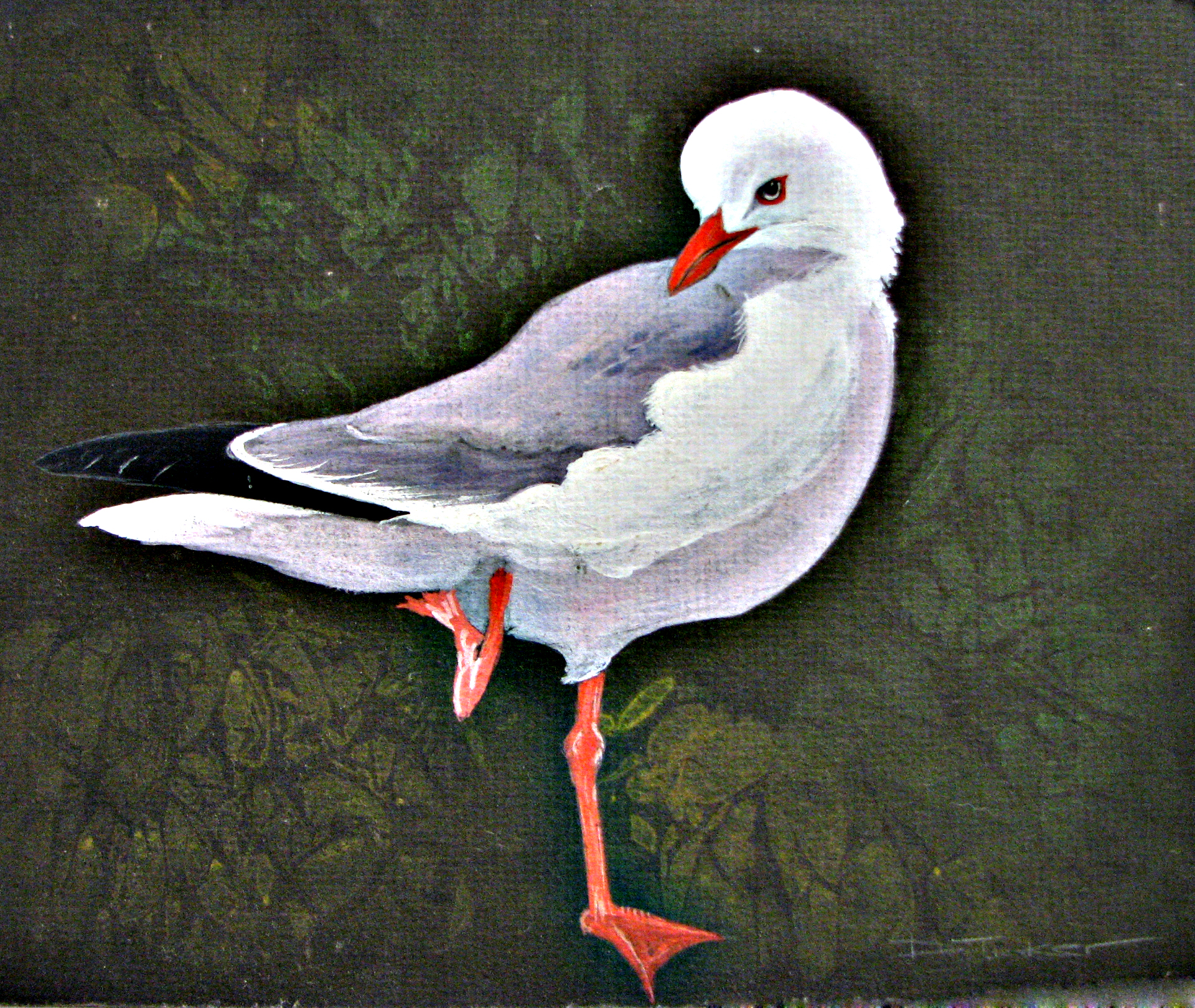 Deb Tinker illustrated seagull gouache